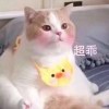 12588