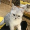 太累了墨迹85965555@163.com