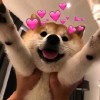 就这样说定了