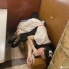 夜游神