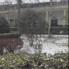 L12915789
