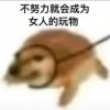qqqq