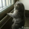 一个小目标 yyt