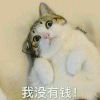 Qqqssj