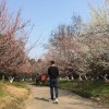 明天