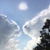 kjv