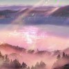 帮忙