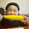 安新66
