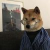 小猪